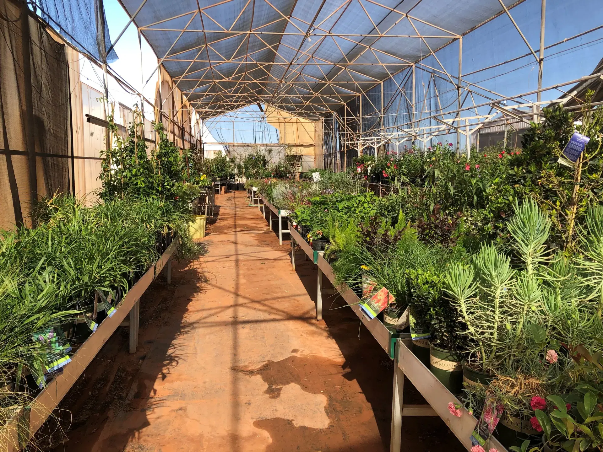 Sandia Greenhouse